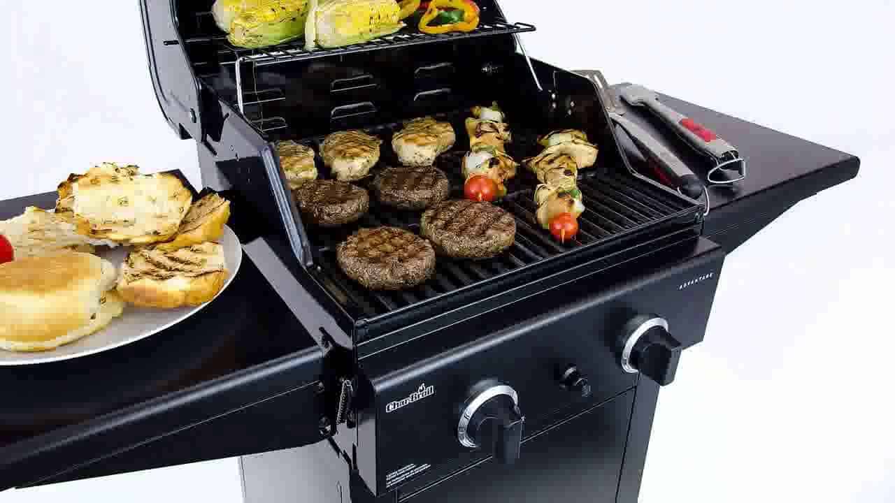 Skrive ud cricket absorption Char-Broil Classic 280 2-Burner Gas Grill Review