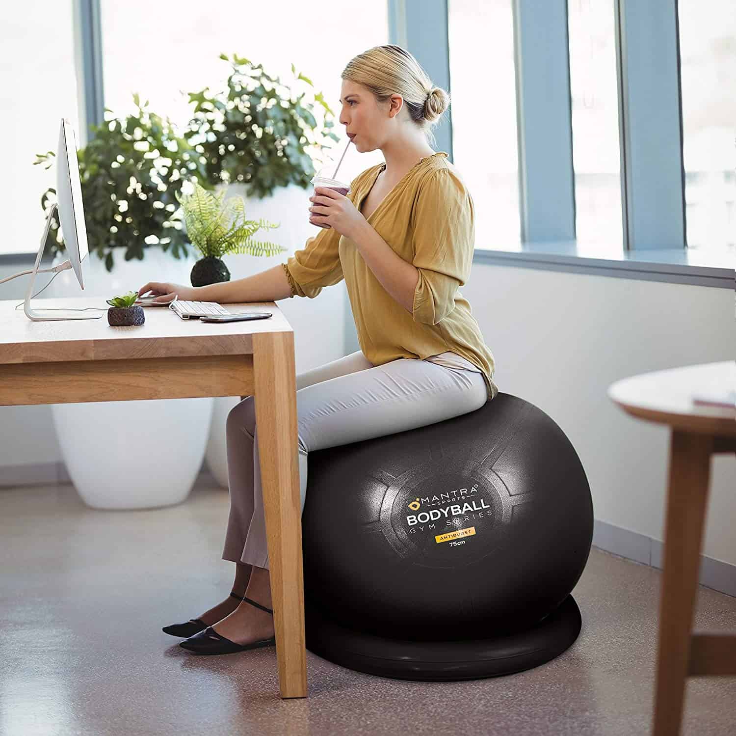 Exercise Ball Chair